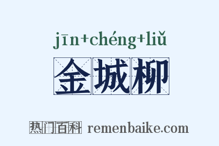金城柳是什么意思的图片